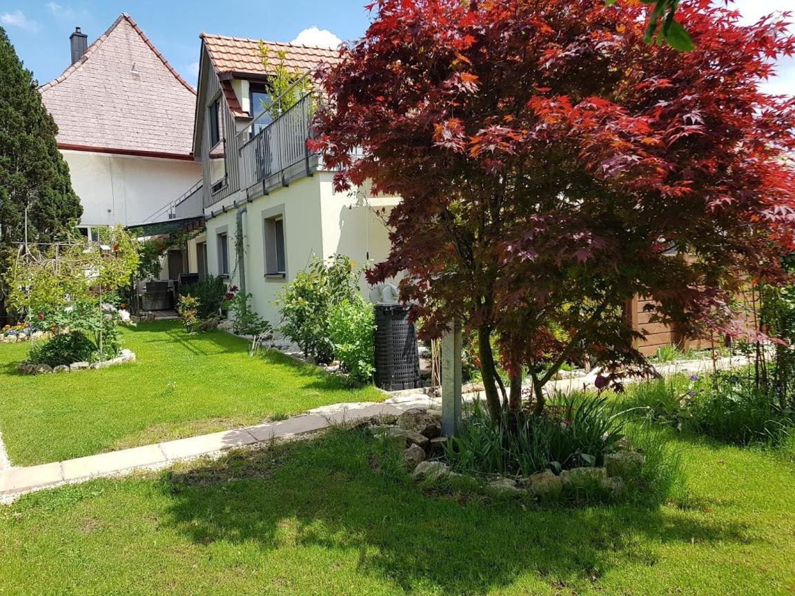 Bnb Comfort Guesthouse Olten - Lostorf Екстериор снимка