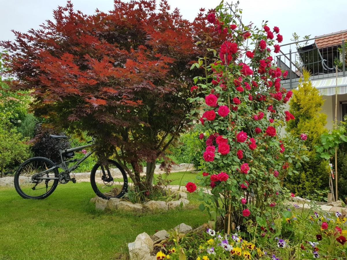 Bnb Comfort Guesthouse Olten - Lostorf Екстериор снимка