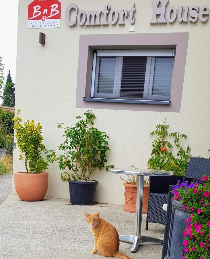 Bnb Comfort Guesthouse Olten - Lostorf Екстериор снимка
