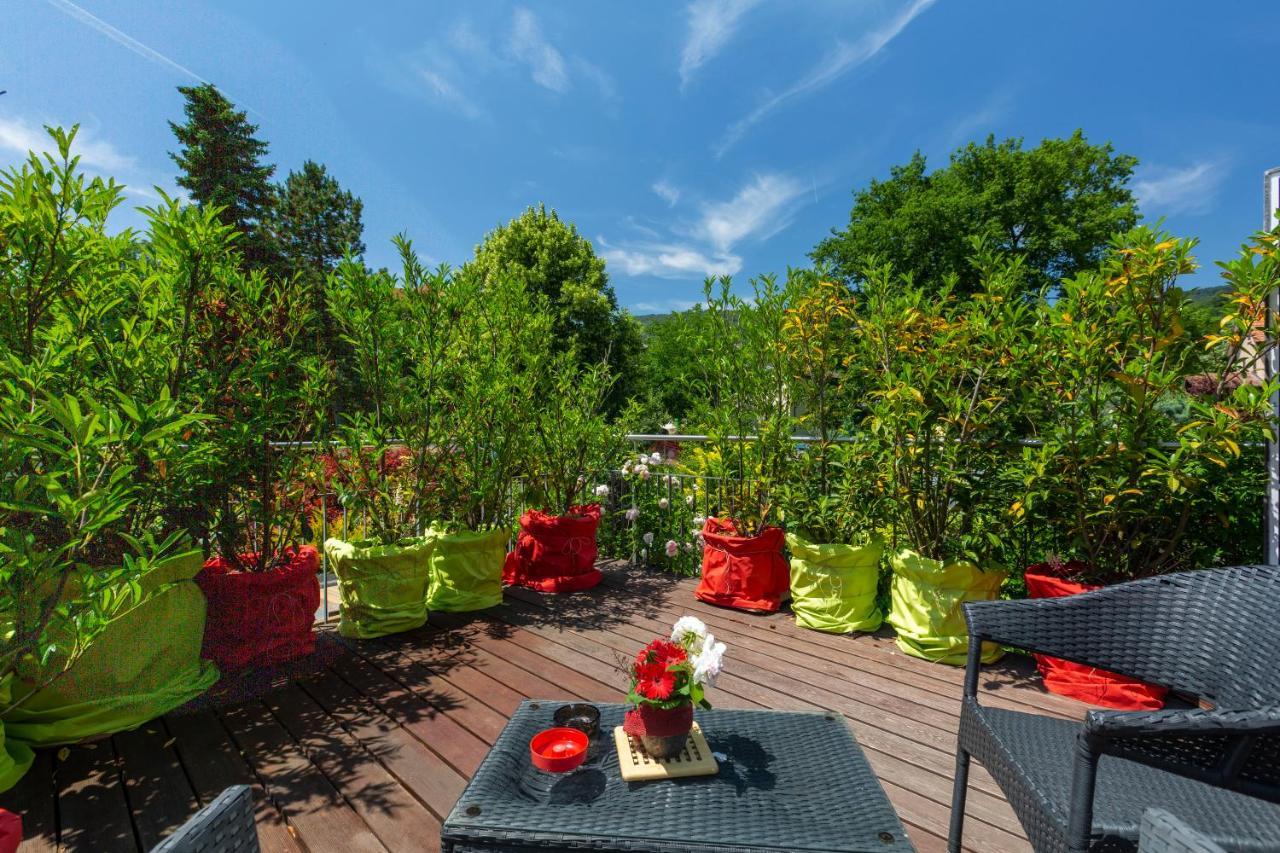 Bnb Comfort Guesthouse Olten - Lostorf Екстериор снимка
